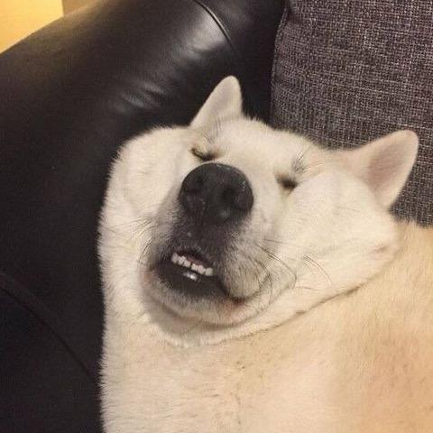 可是什么呢