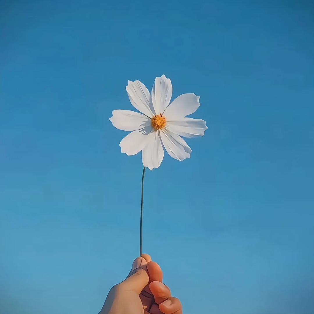 歌尽桃花