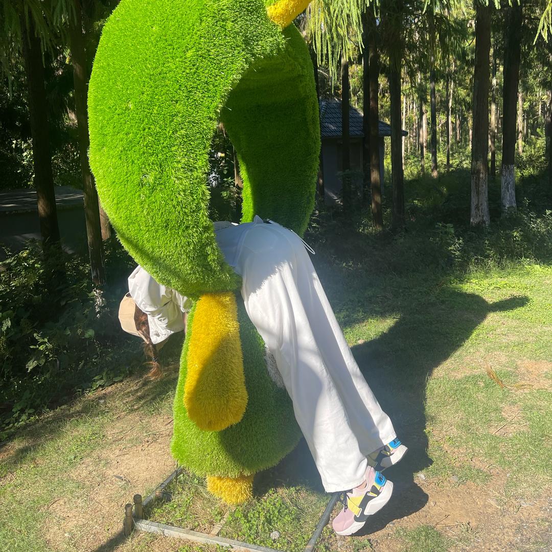宫二蛋