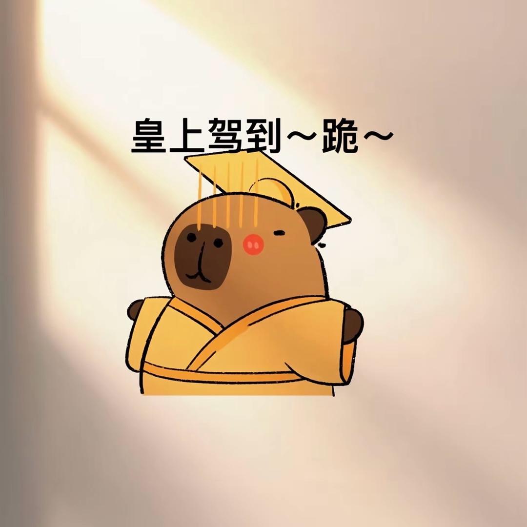 Mr 宋先生