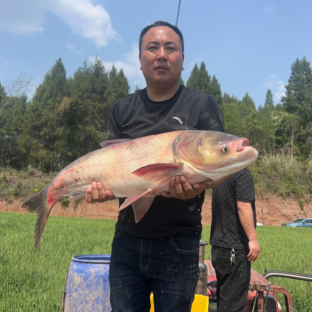 小龙户外