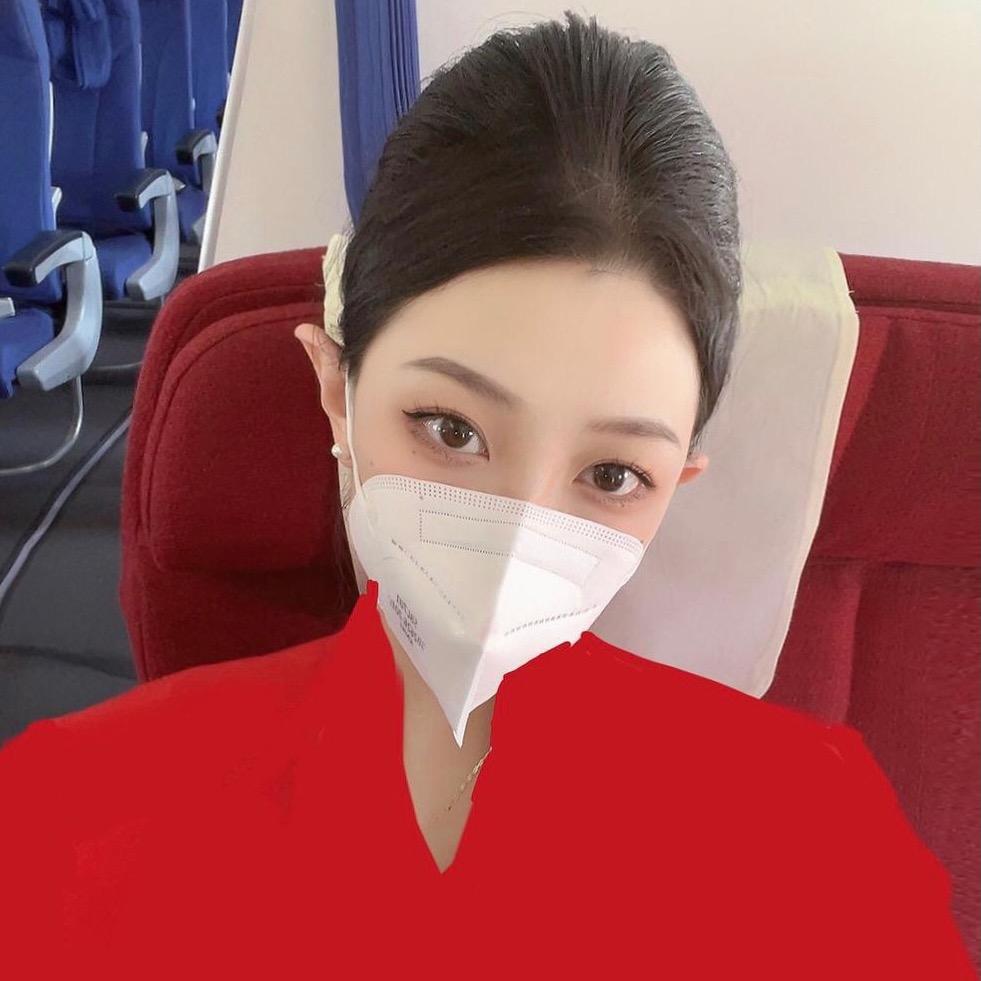 ✈️会飞的小羊
