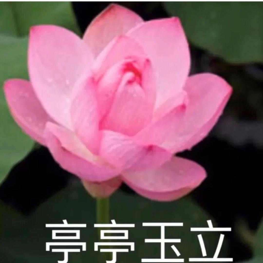 幸福
