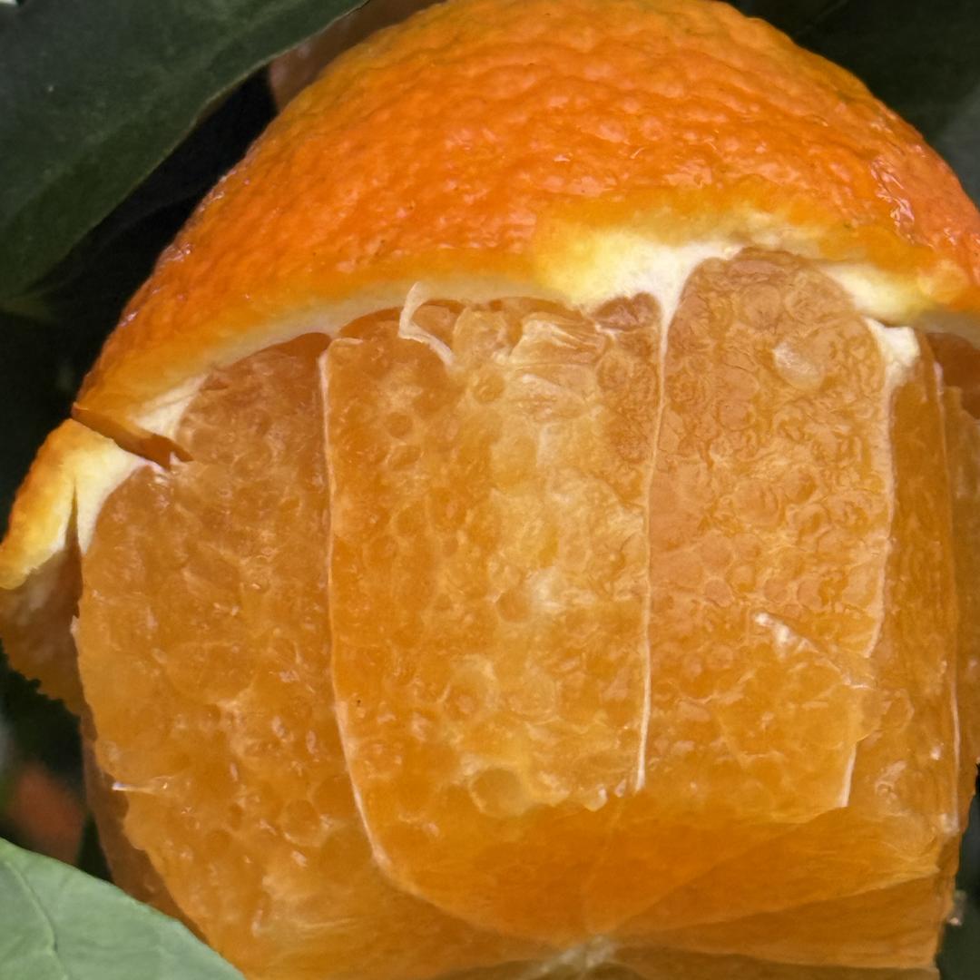 王超水果精品店