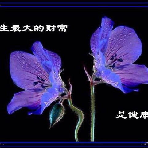 中国乐乐幸福生活