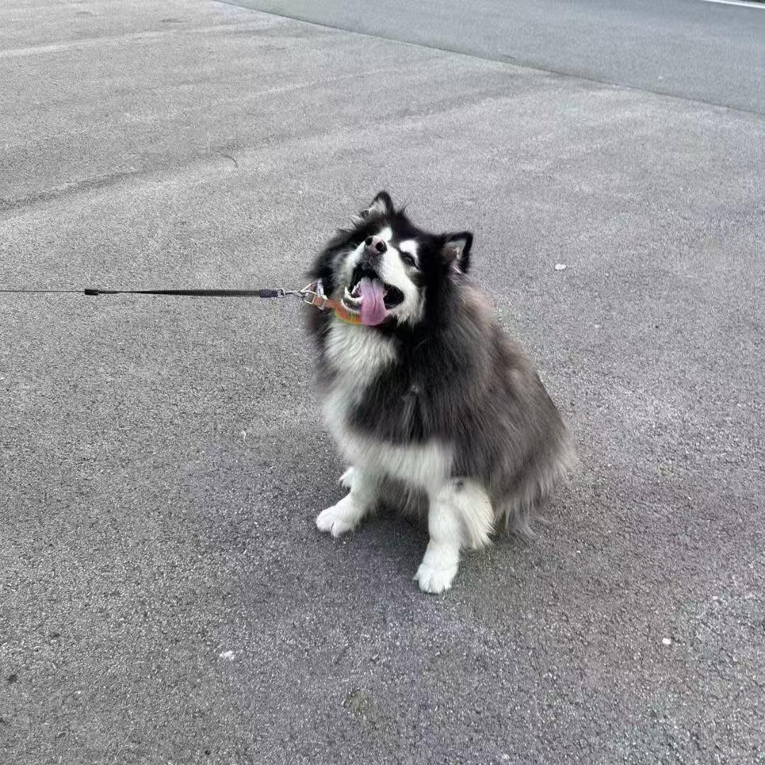 Vicious