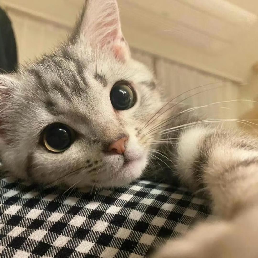 南宁驾校猫🐱袁教（贵港平南人）