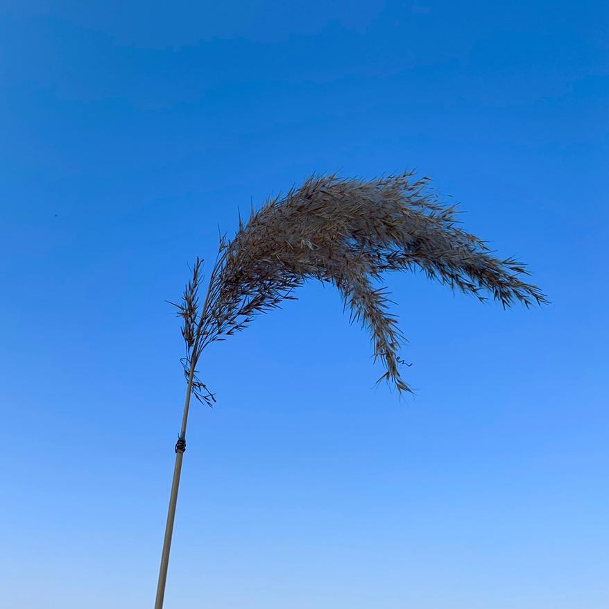 🍃空白🍂