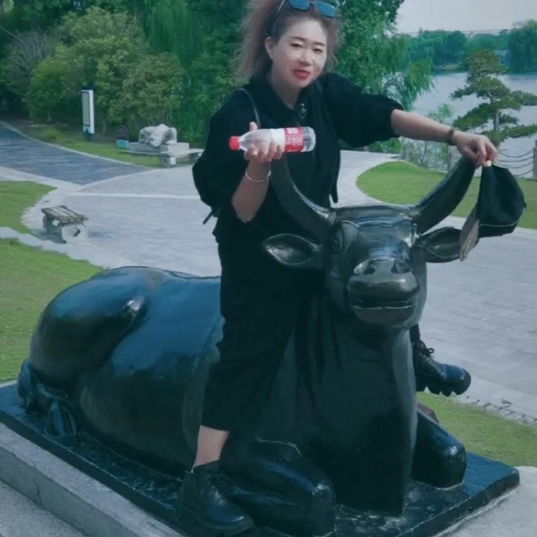 花果山下老妖婆