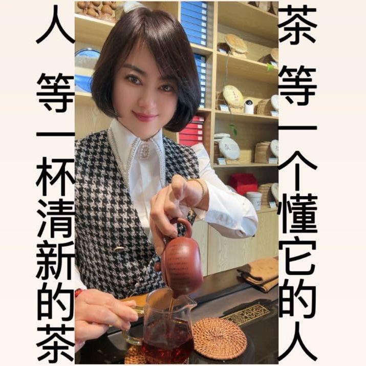 朱钰迪  专注普洱茶