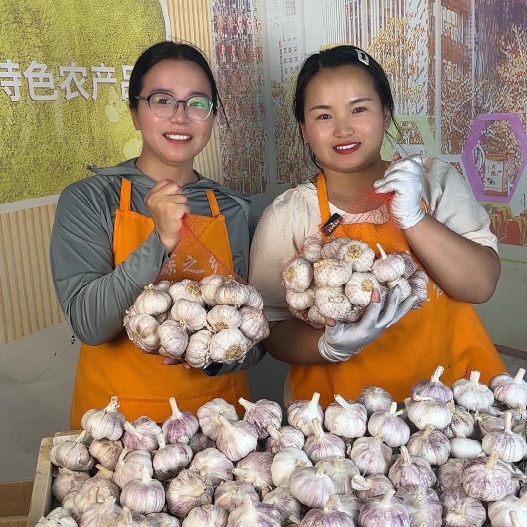 2025年干蒜正在发货