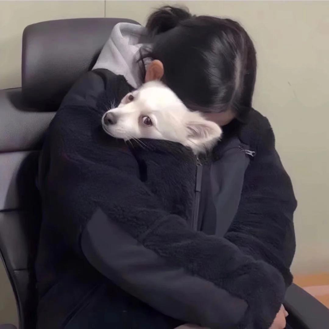 紀