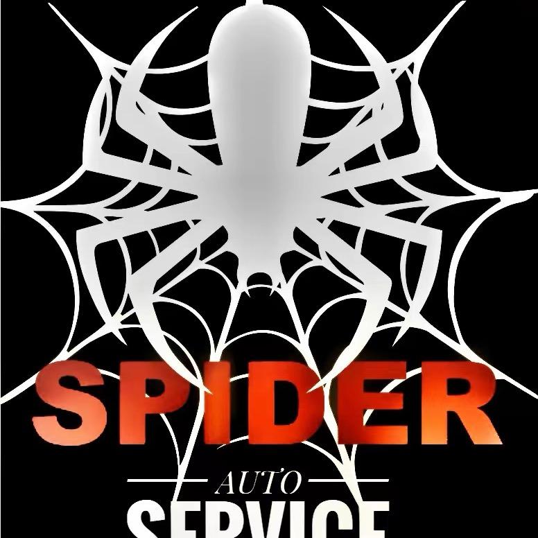 spider老徐