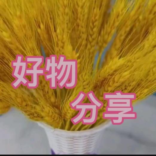 心语..