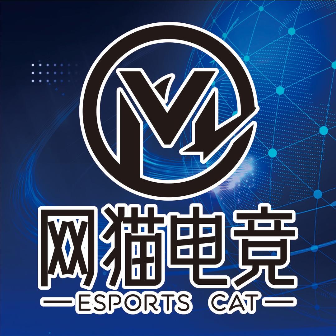 网猫电竞体育发展有限公司