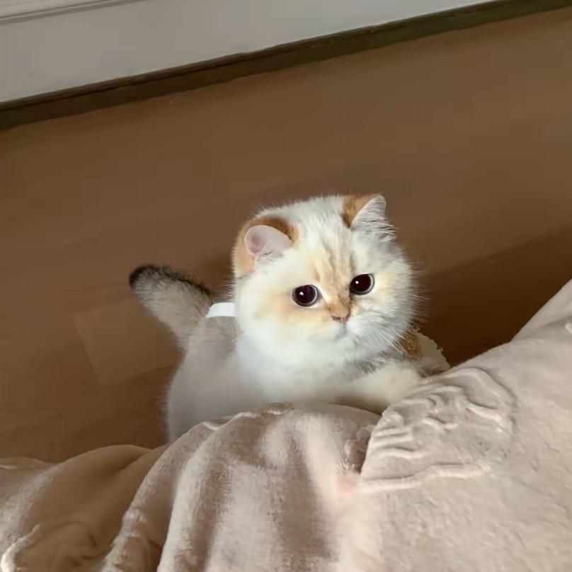 Lostinureyes