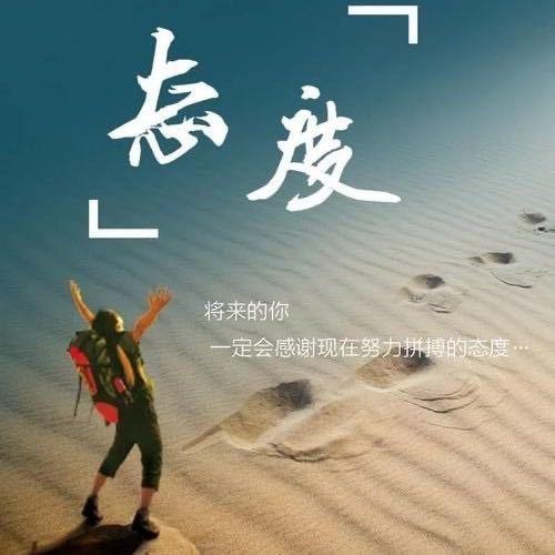海鸥