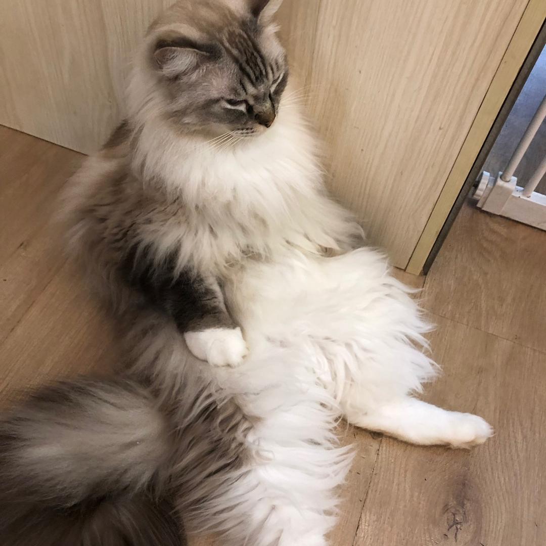 阿渴