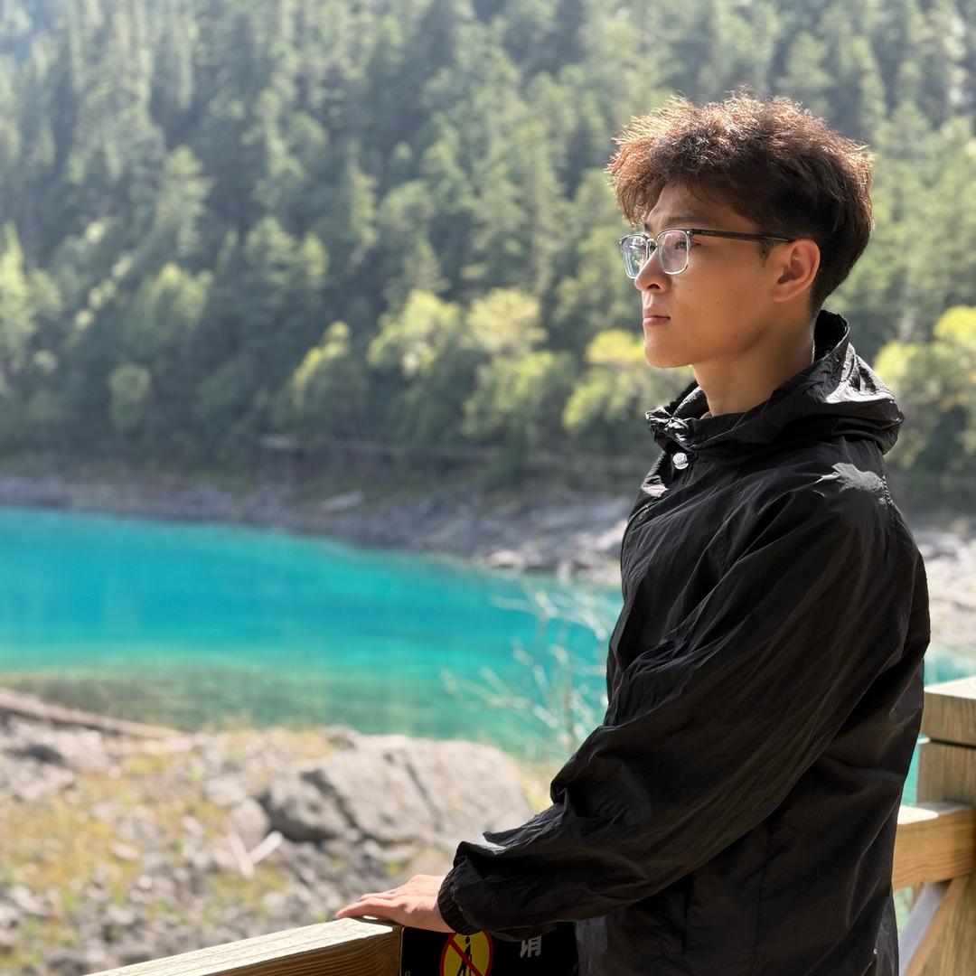史迪奇