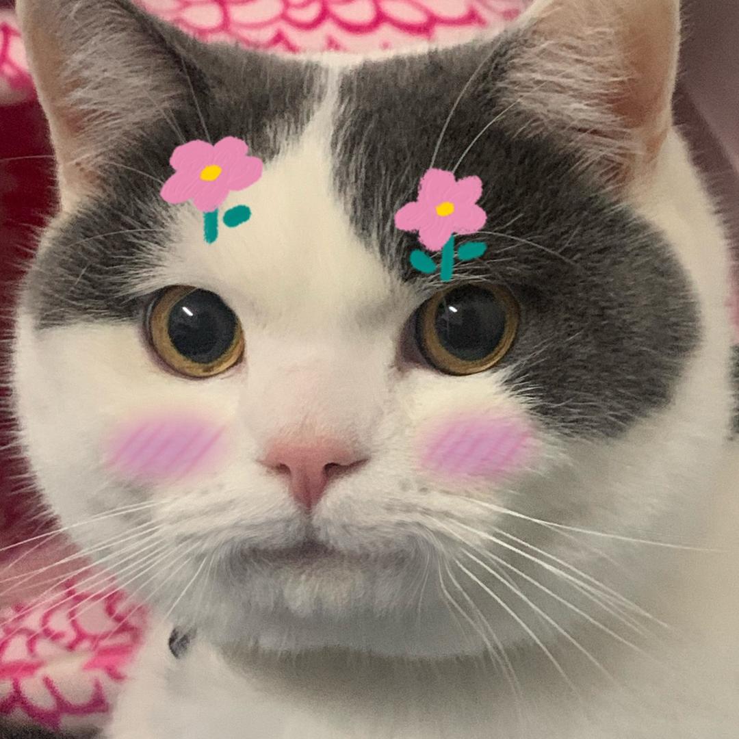 小铭的小小