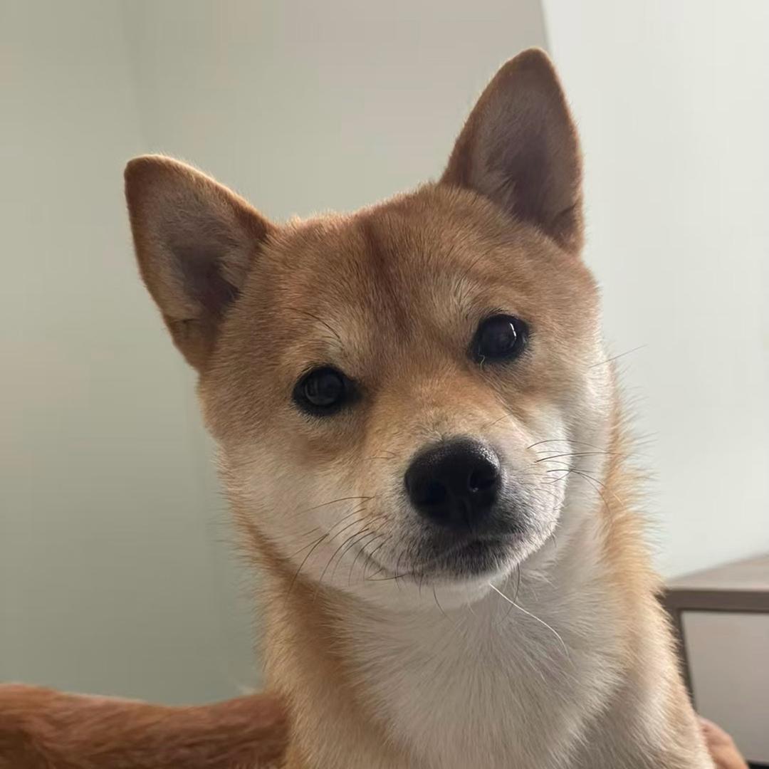 小鱼