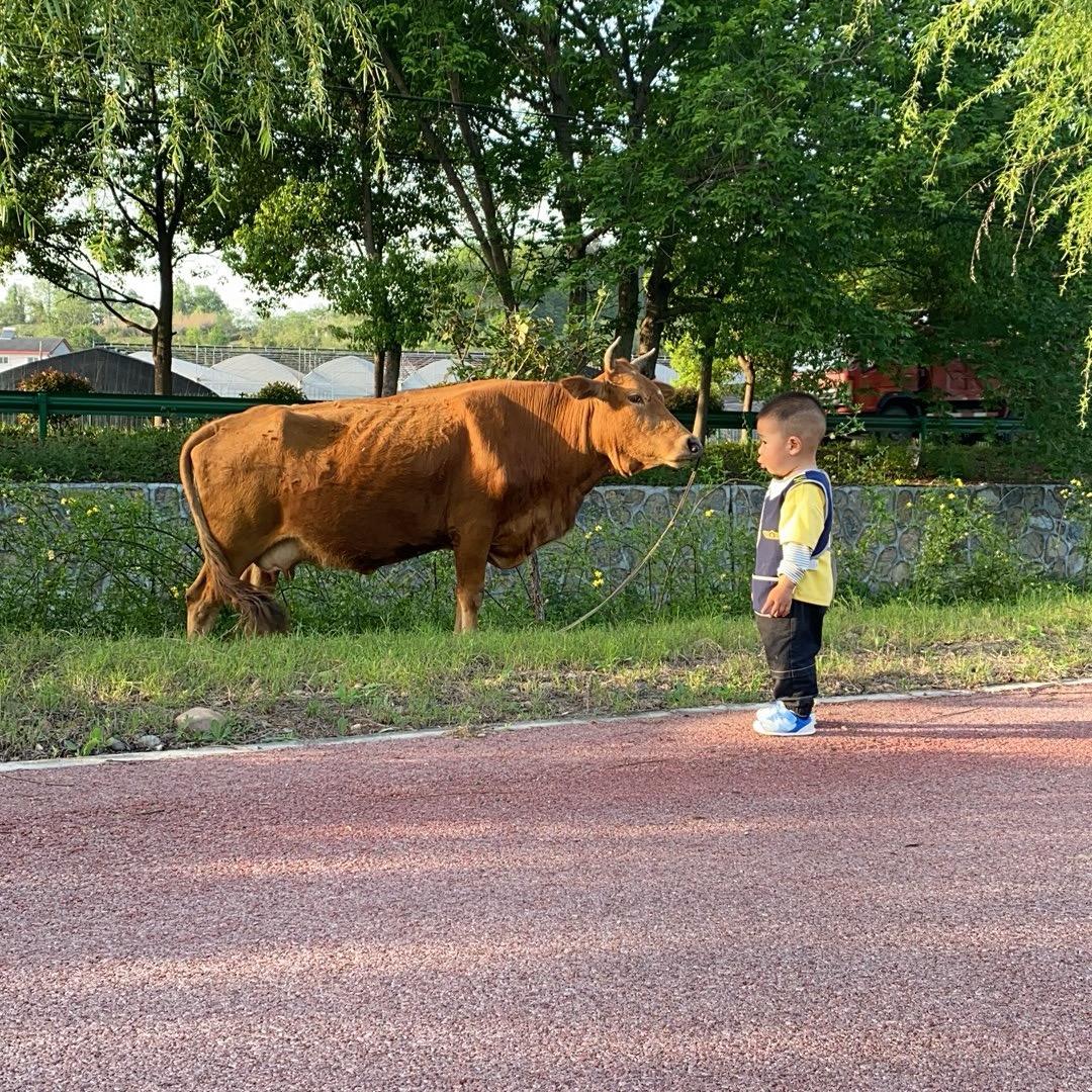 呈卓建设