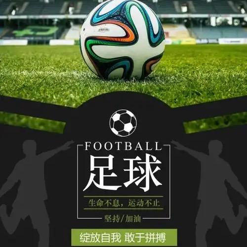 老王的王-双喜足球