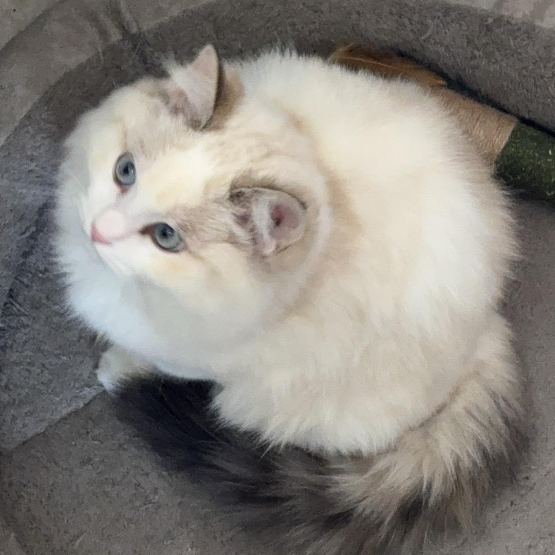 秋天的风