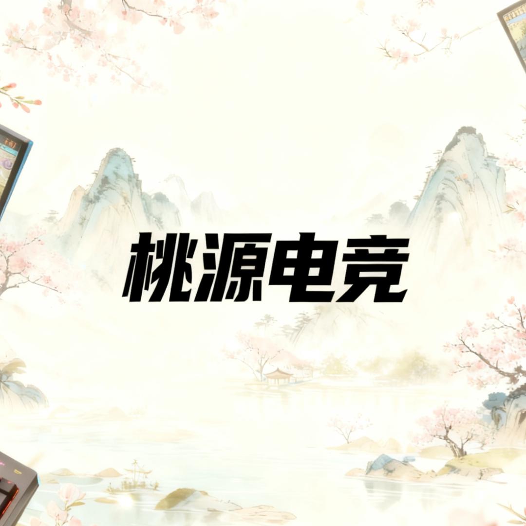桃源电竞（三角洲行动）