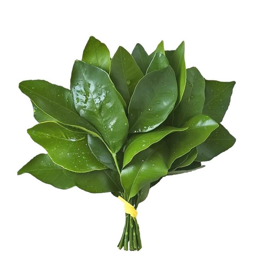 ฅ՞••՞ฅ