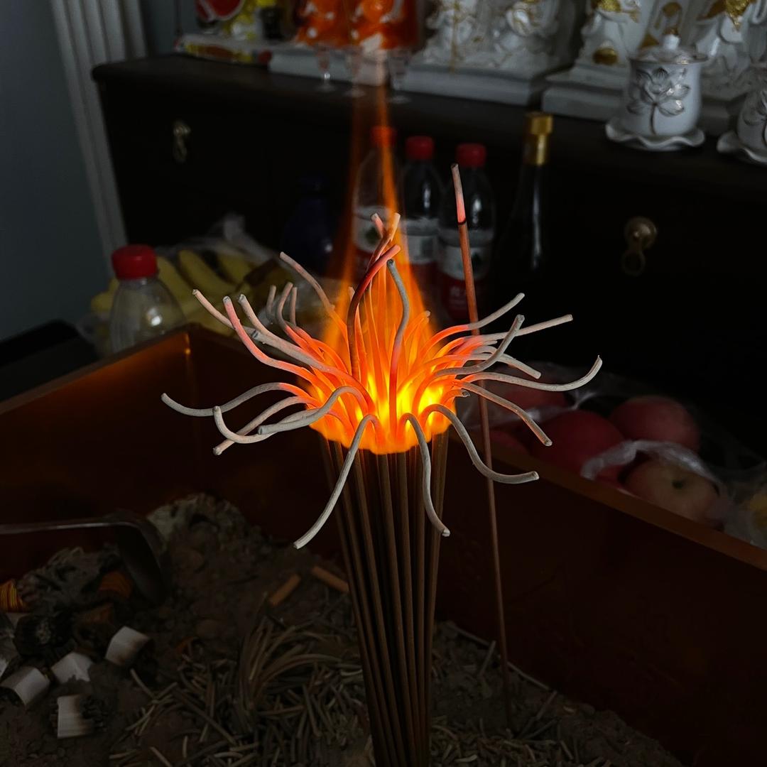 🪷广珍（越来越好）🇨🇳