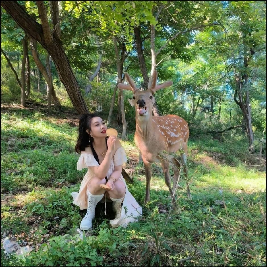 夏之星(好物分享)