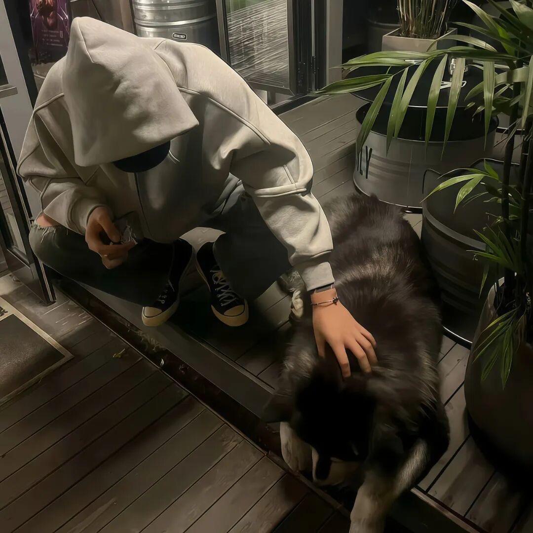 不熬夜的kk