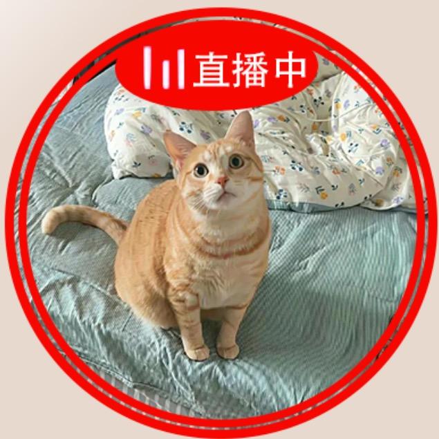 麻辣鱿鱼