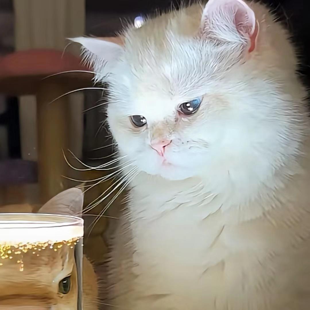 玖悦.