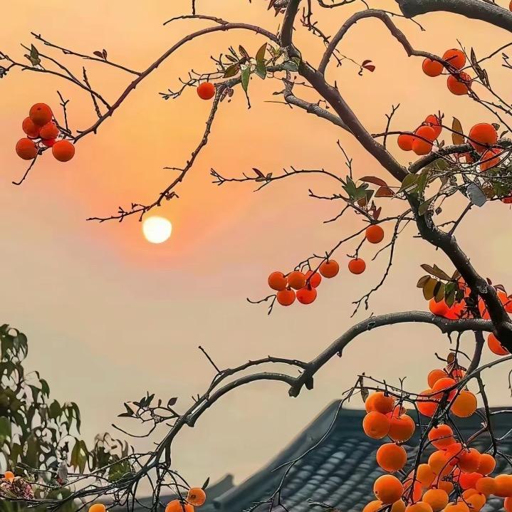 春风拂柳
