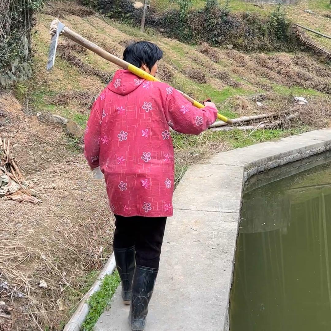 麻园老王