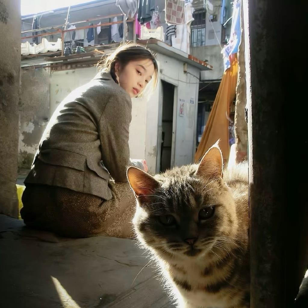 🥚炒饭加100个🥚