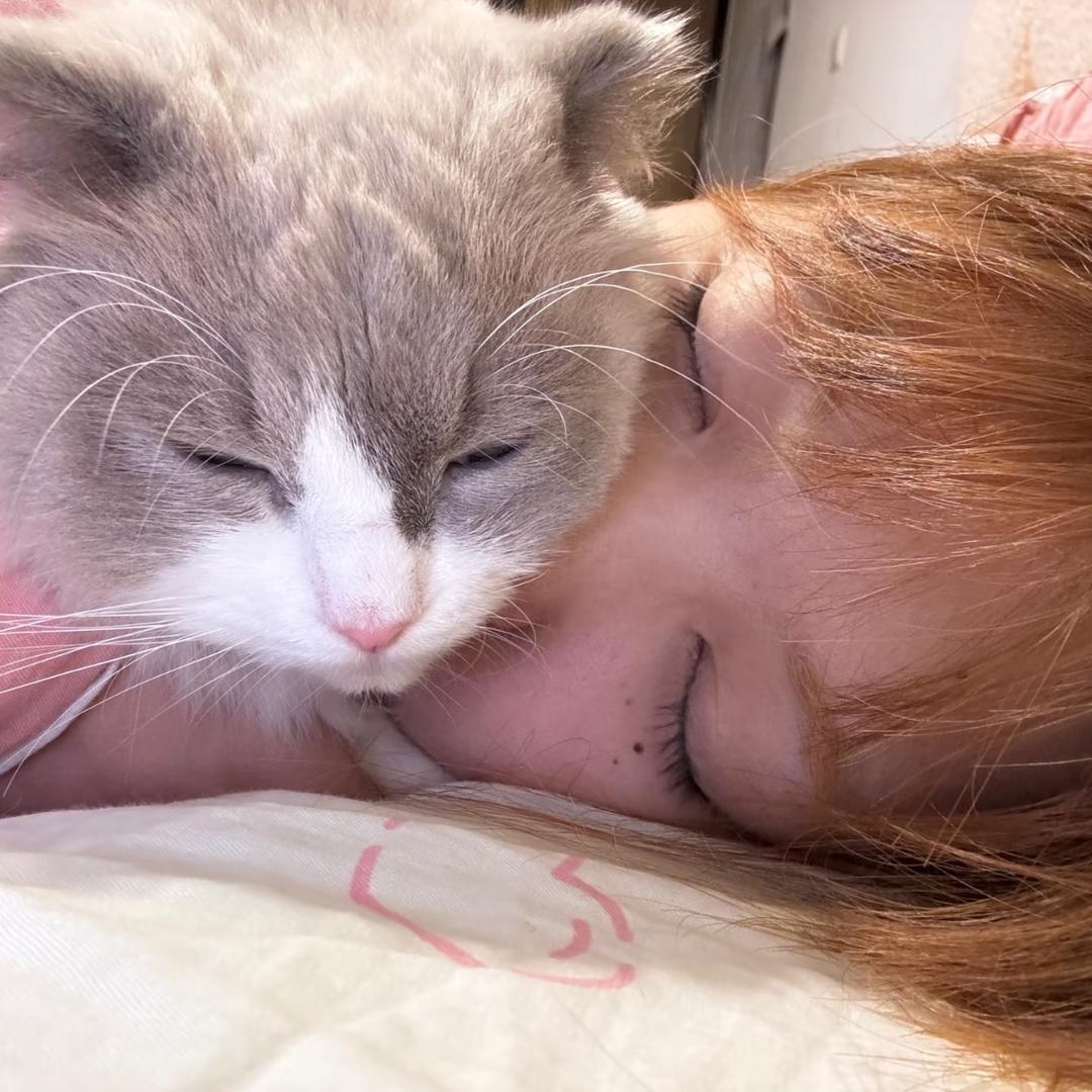 番薯小猫^