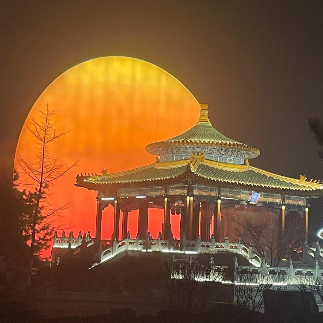 绿豆