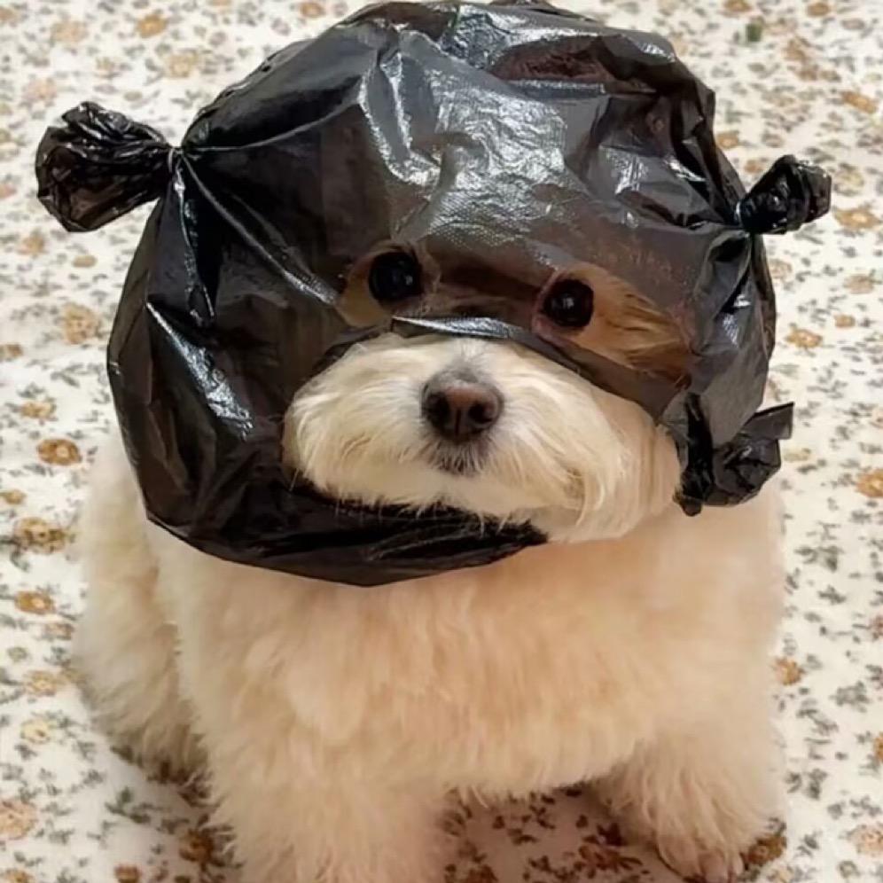 小曾吖！