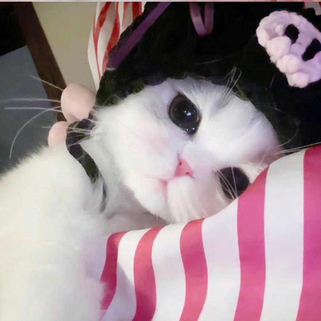 云云子☁️
