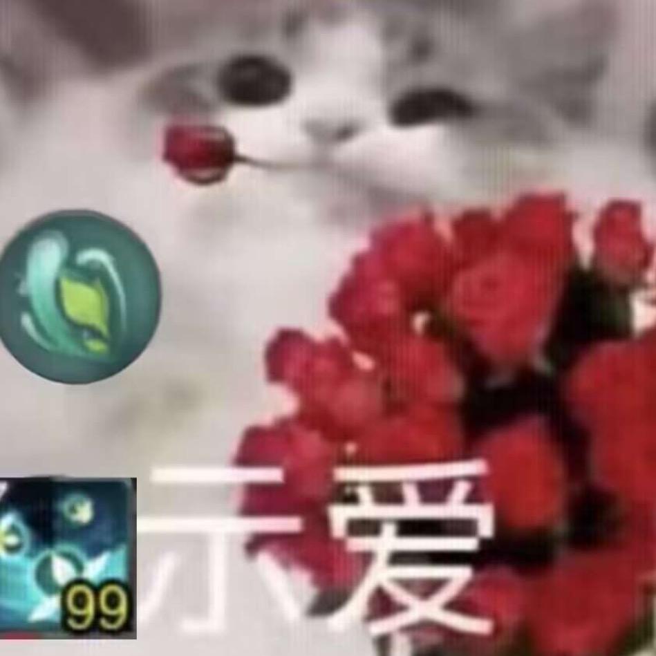 一大碗不辣金丝鸡