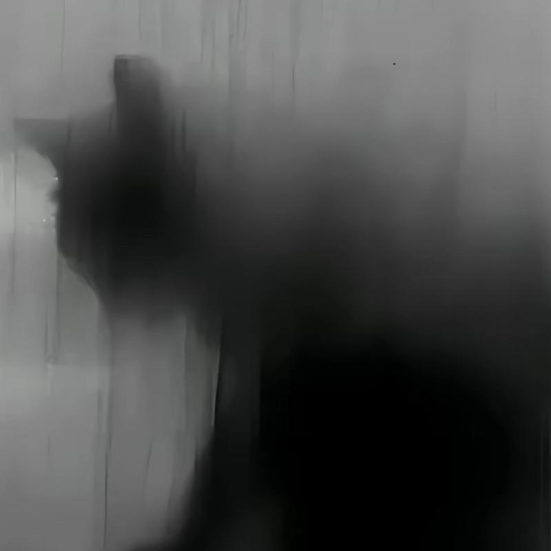 Akiiidaa拉琴版