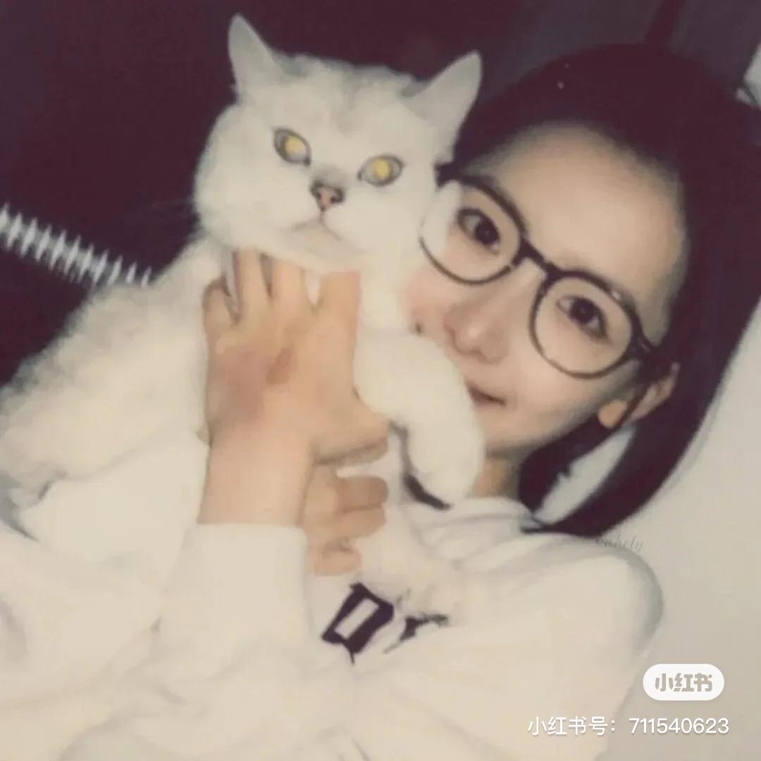 悲伤小狗🐶
