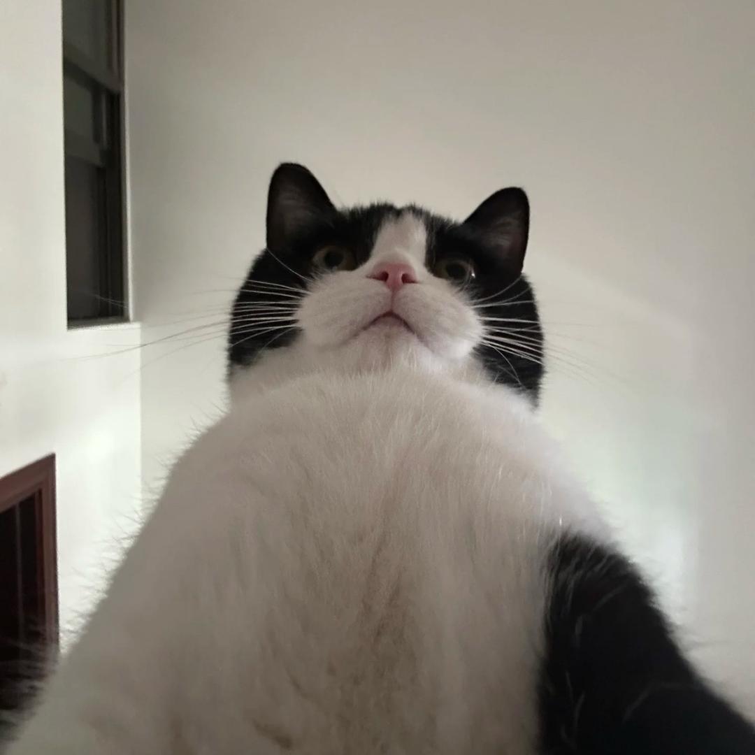 Wudong