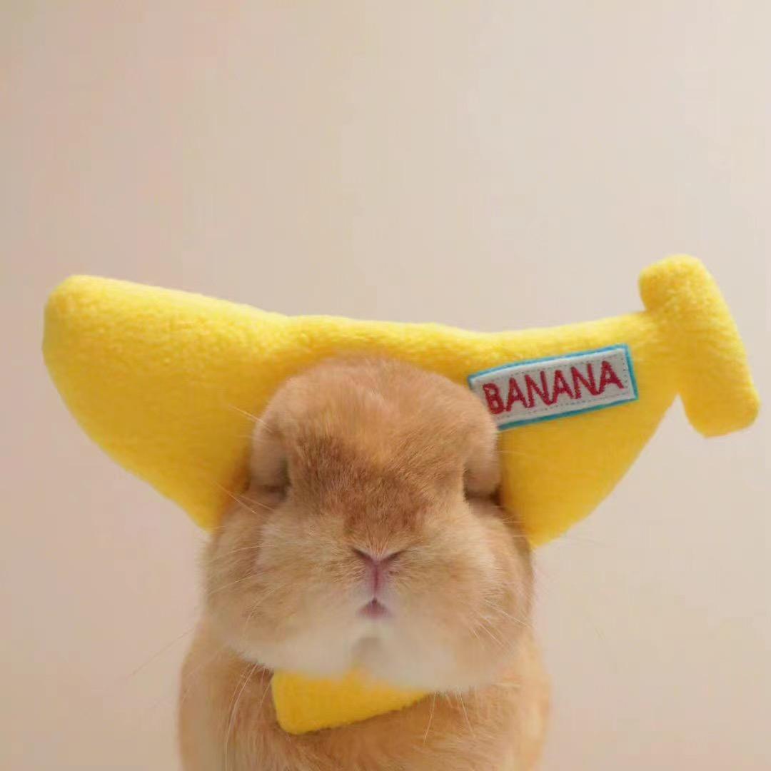 橘柚～
