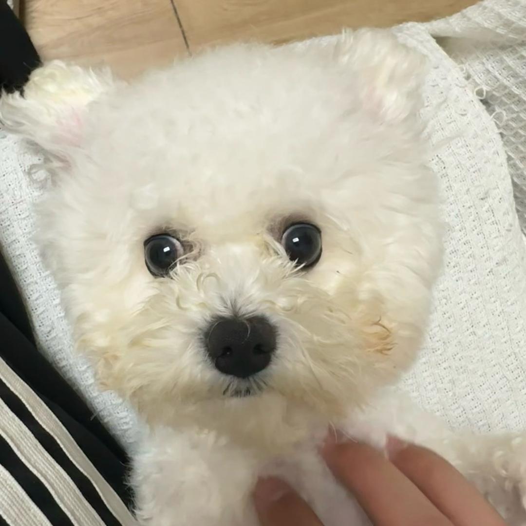 冬