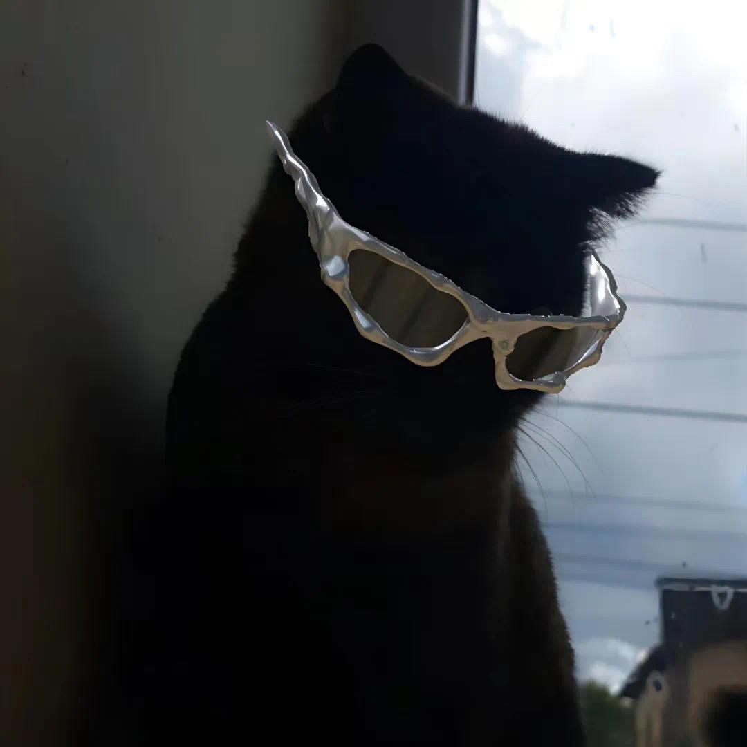 叛逆小喵🐈