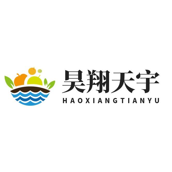 昊翔天宇品牌店